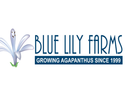 Blue Lily Farms